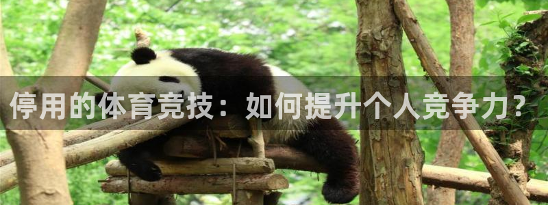 停用的体育竞技：如何提升个人竞争力？